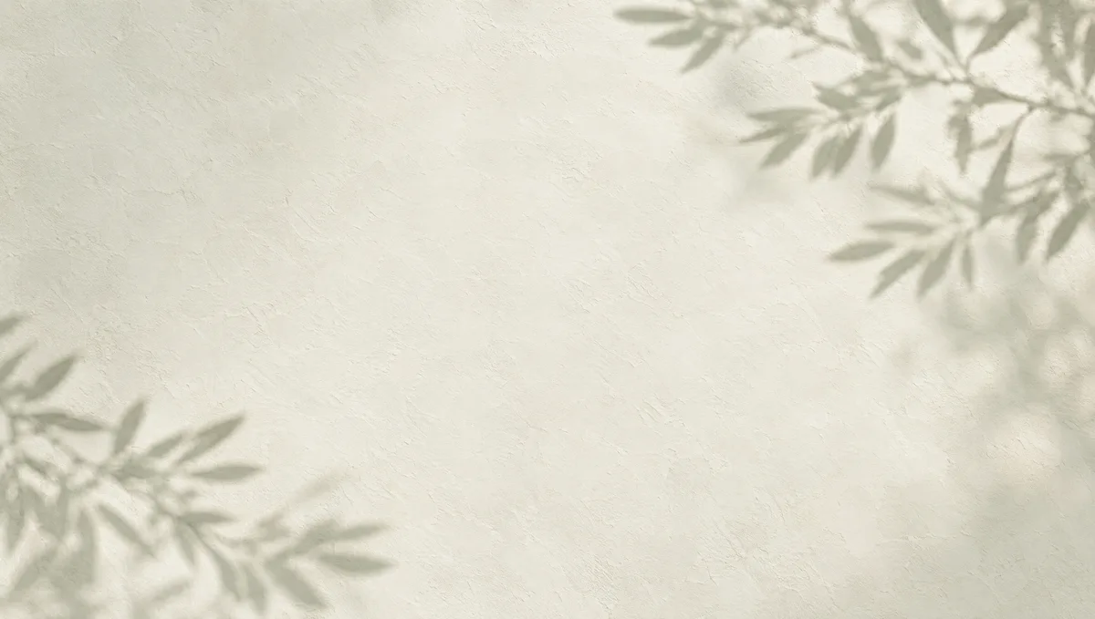 Sunlit wall with olive leaf shadows